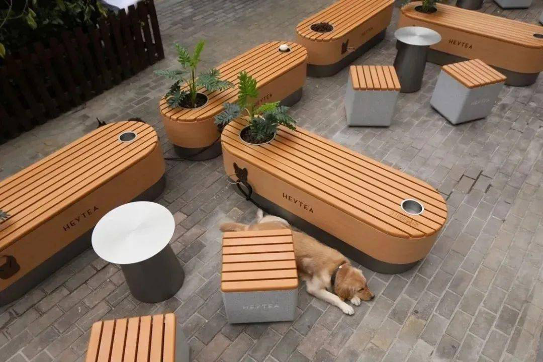 寵物智能用品市場正火熱，企業(yè)如何快速入局？